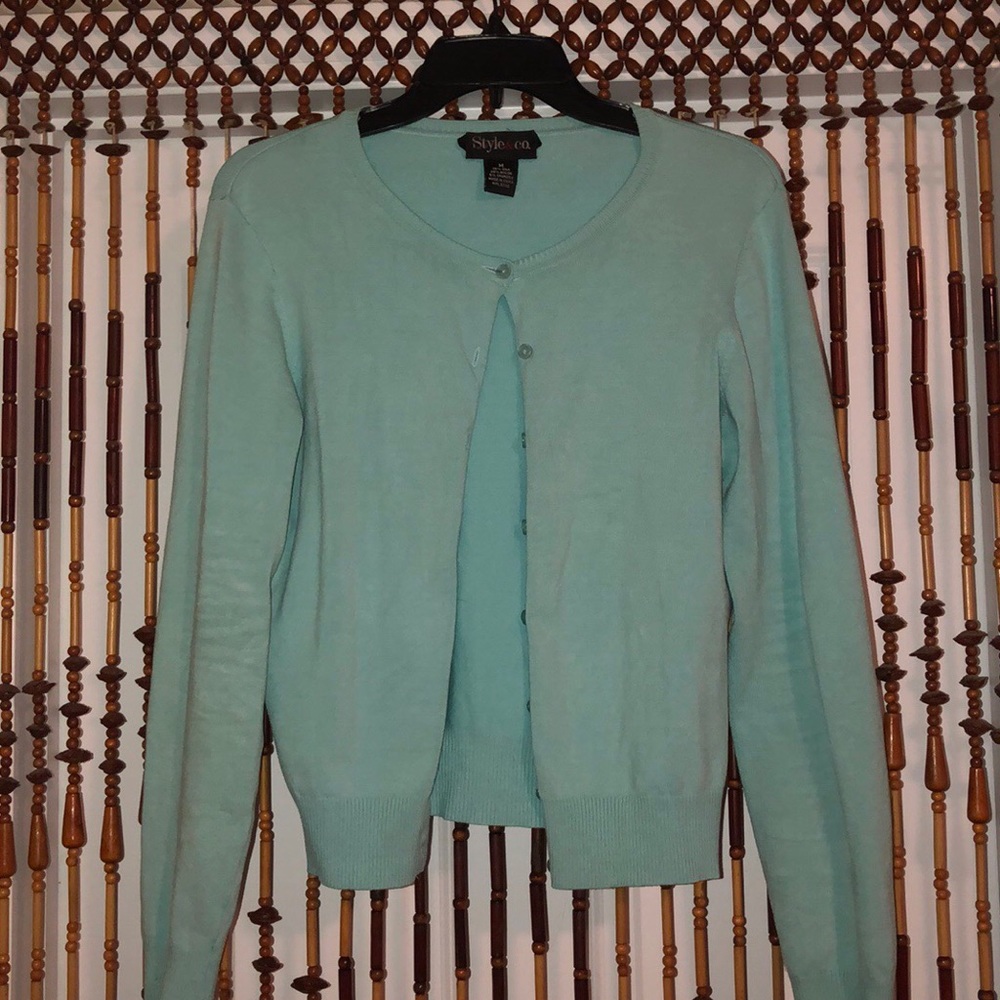 Teal STYLE & CO sweater